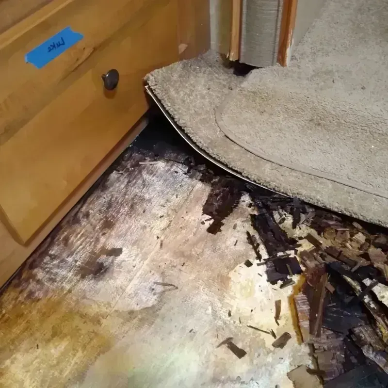 Wood Floor Water Damage in Big Horn County, WY